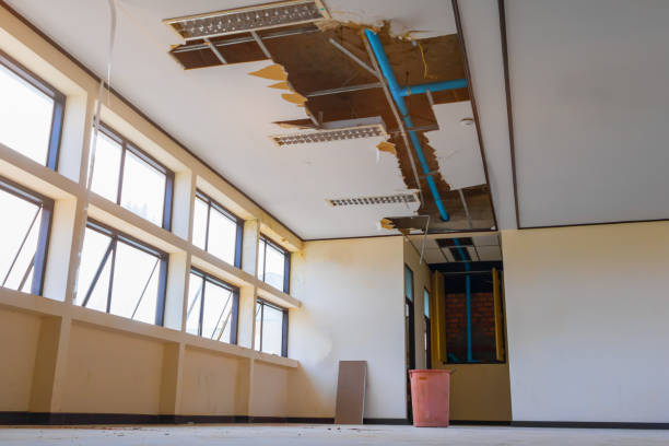 Best Commercial water damage restoration  in Shawneetown, IL