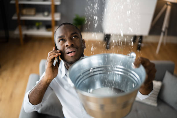Best Sewage cleanup and water damage restoration  in Shawneetown, IL