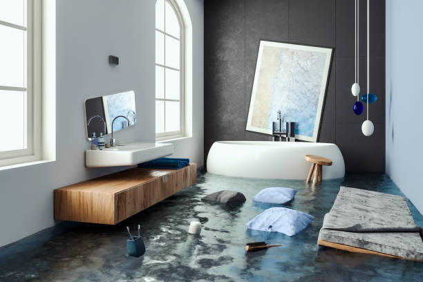 Best Water damage restoration insurance claims  in Shawneetown, IL
