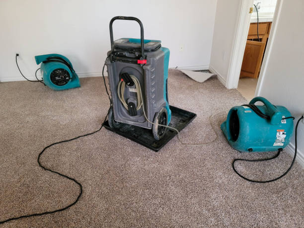 Best Water damage restoration experts  in Shawneetown, IL