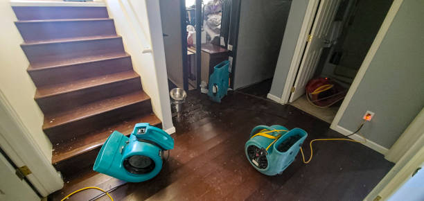 Best Residential water damage restoration  in Shawneetown, IL