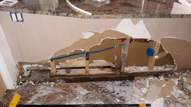 Best Flood restoration services  in Shawneetown, IL