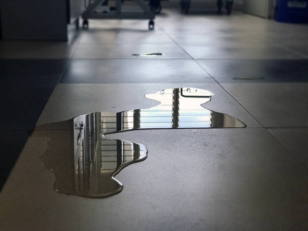 24/7 water damage repair in IL