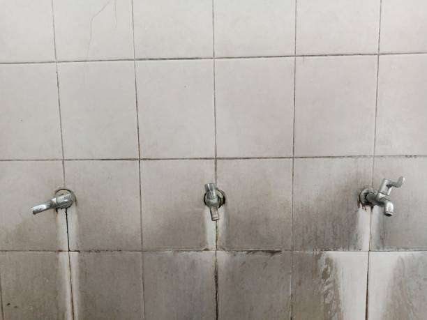 Best Water damage cleanup near me  in Shawneetown, IL