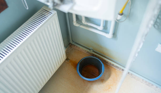Best Local water damage restoration  in Shawneetown, IL