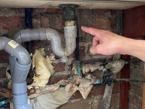 Best Emergency water damage restoration  in Shawneetown, IL