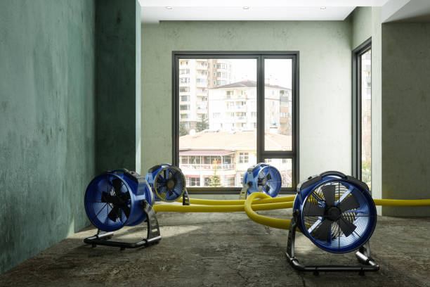 Best 24/7 water damage repair  in Shawneetown, IL