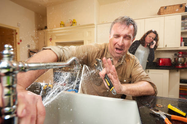 Best Water damage restoration services  in Shawneetown, IL